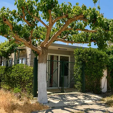 Petrakis Afrathias Garden House Feriehus